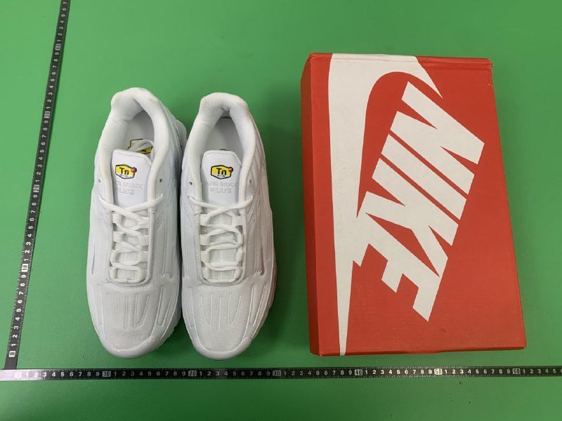 Nike Air Max Plus TN Sneakers