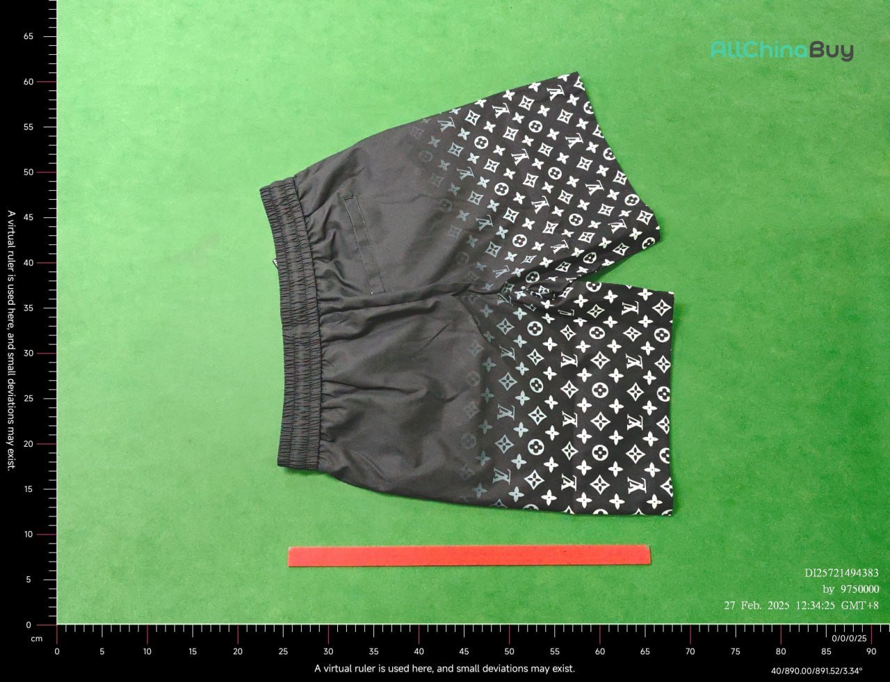 LV Shorts Beach Pants