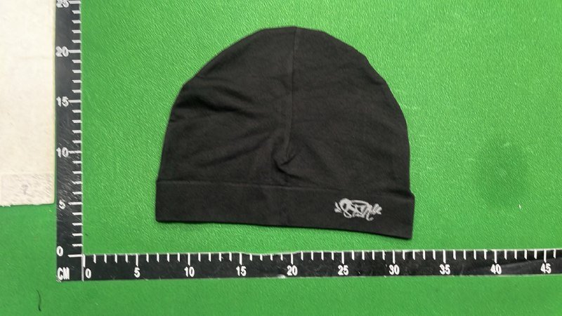 SynaWord Beanie 1