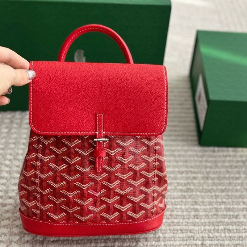 Goyard Bag