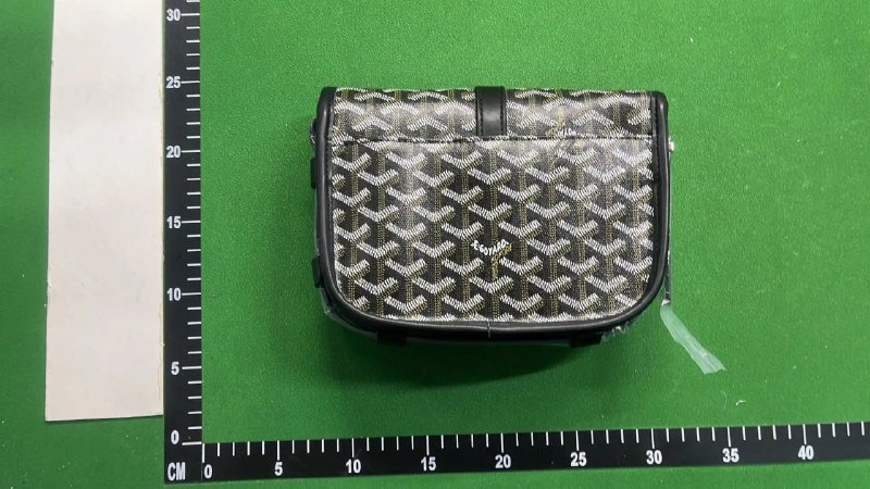 Goyard Shoulder Bag  （40tyle ）
