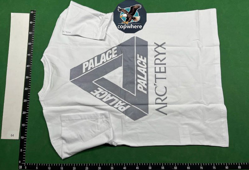 Palace T-shirt  (36 CP)