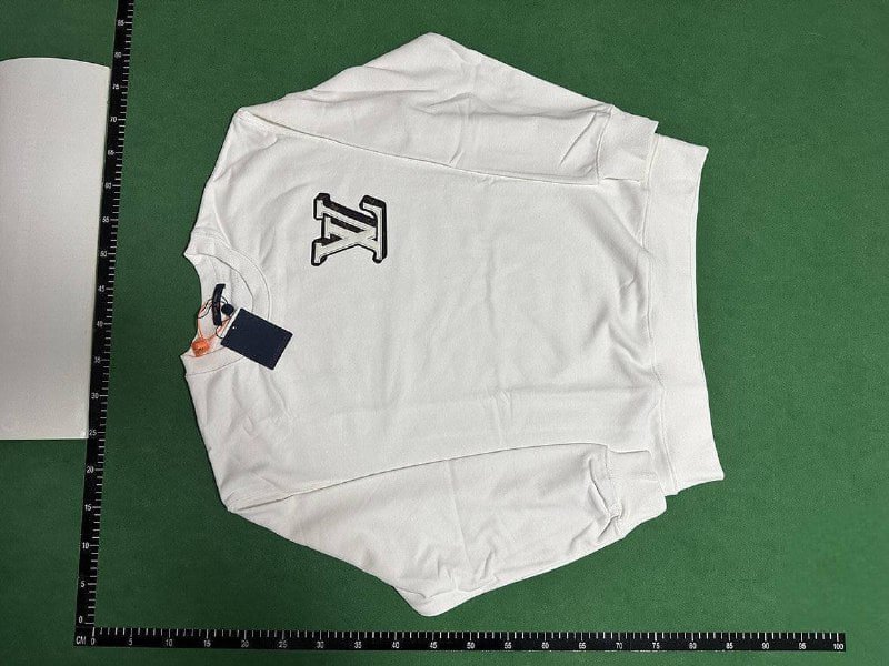 Louis Vuitton sweatshirt    (40 CP)