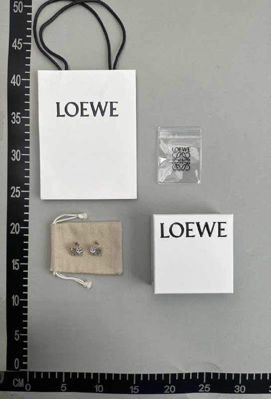Loewe Earring