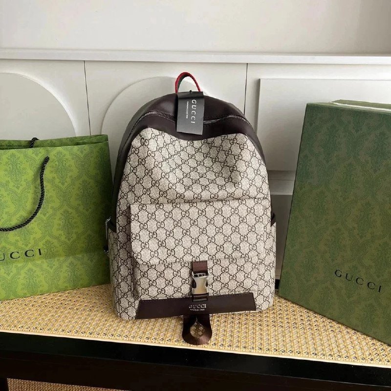 Louis Vuitton / Dior Backpack（promotion）  (40 CP)